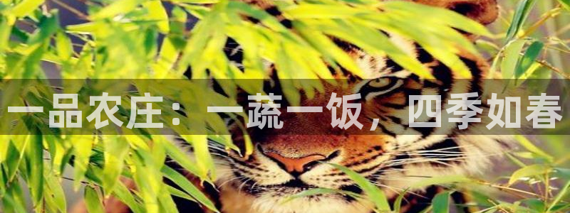 天顺娱乐氏70648