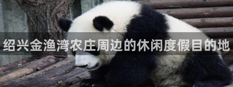 天顺娱乐律78778