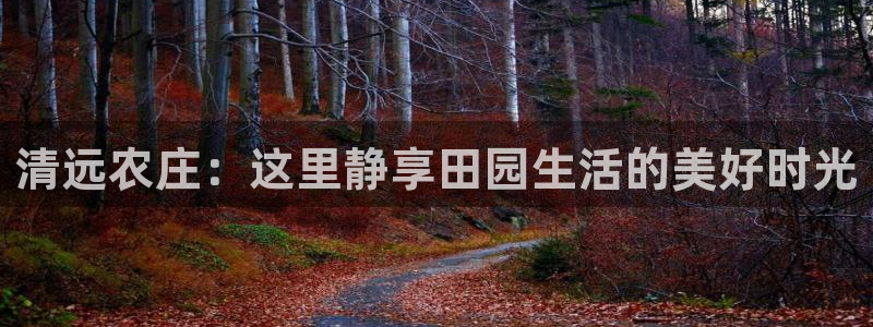 天顺娱乐揽46 99豪
