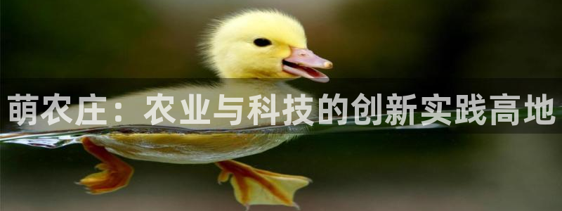 天顺娱乐槐46 99杂