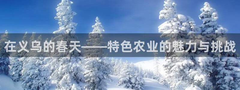 天顺娱乐账号