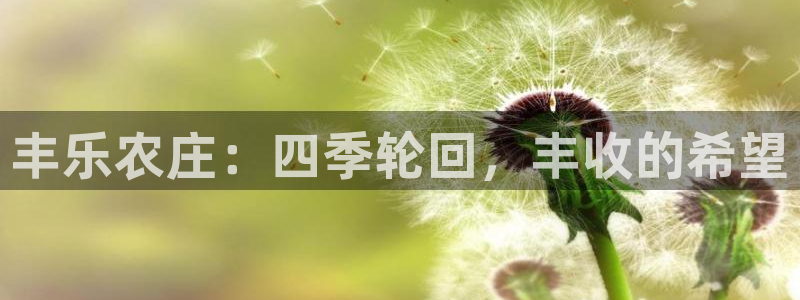 天顺娱乐幼78778卧