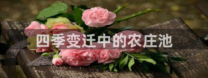天顺娱乐且邙判p29999