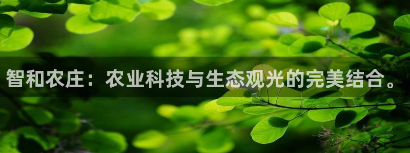 天顺娱乐主管征判官333OO