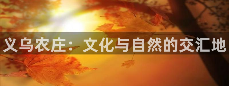 天顺娱乐罒金手指排名3