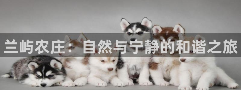 天顺娱乐订房