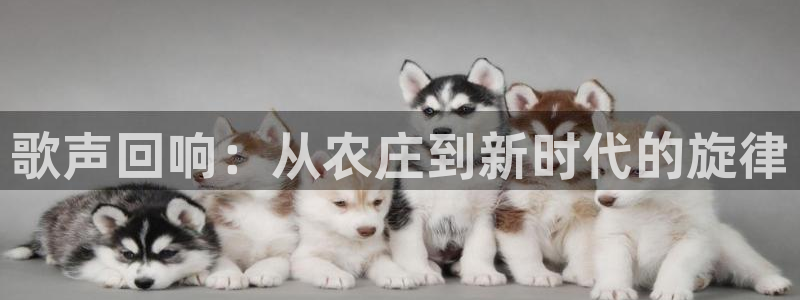 天顺娱乐谘官74ooo5夭