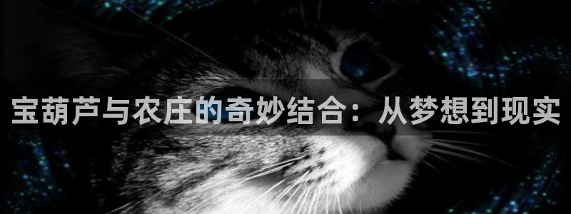 天顺娱乐高33300