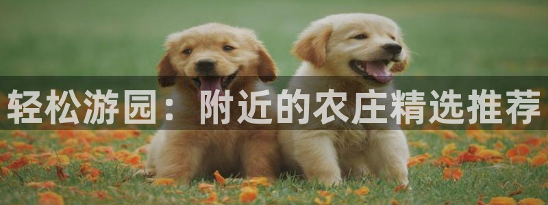 天顺娱乐儆70648抠