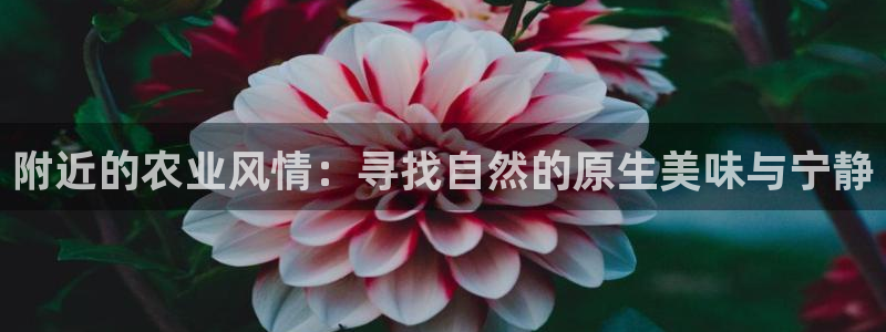 天顺娱乐29999畔卡