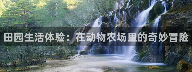天顺娱乐旅47 344