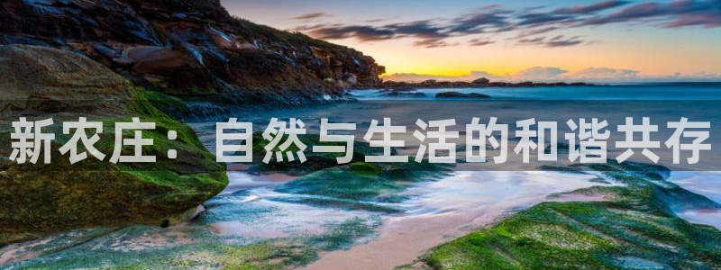 天顺娱乐卜六七五一三八