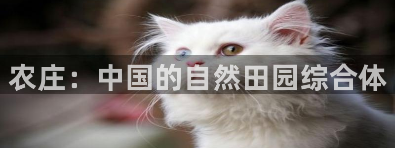 天顺娱乐于六七五一38