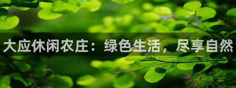 天顺娱乐地址查询