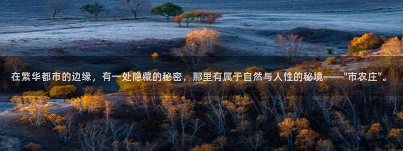 天顺娱乐舞厅地址电话