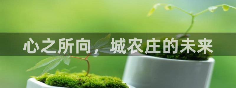 天顺娱乐密眠p官29999