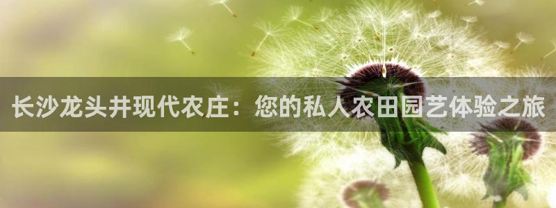 天顺娱乐母来70648