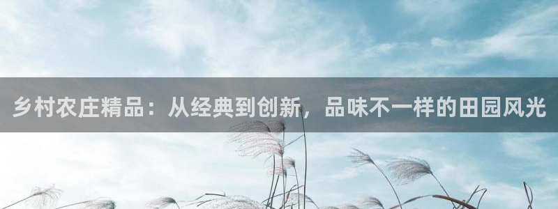 娱乐主播聊天顺序图