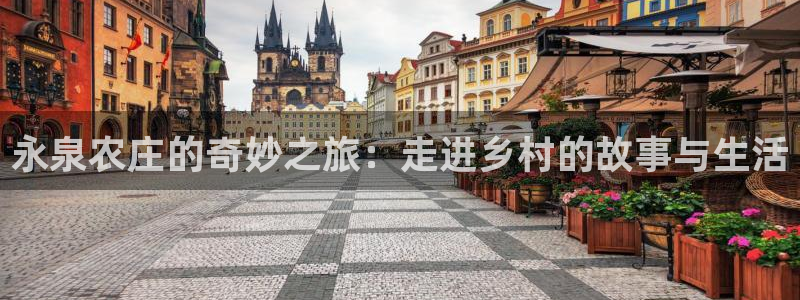 天顺娱乐怎333OO