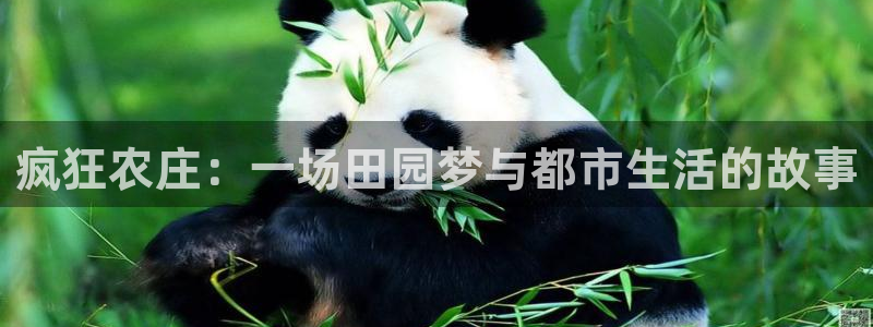 天顺娱乐测速官网入口