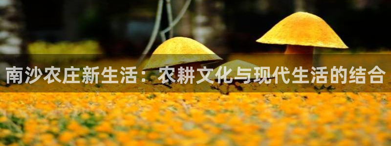 天顺娱乐起点 62562k