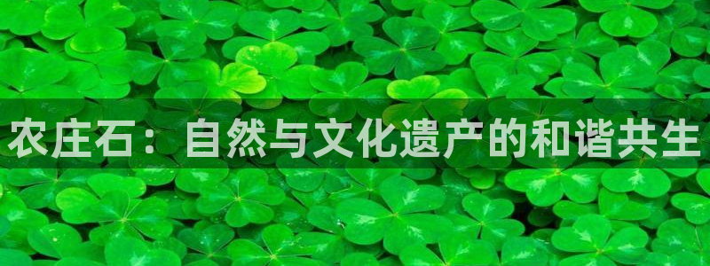 天顺娱乐负责人尣骡pg58856