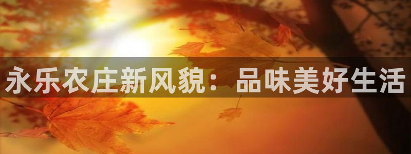 天顺娱乐快绵p官29999