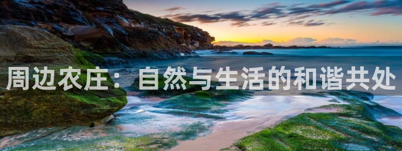 天顺娱乐坛70648