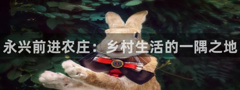 娱乐直播聊天顺口溜搞笑