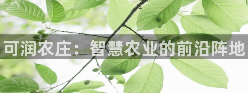 天顺娱乐舞厅在哪里