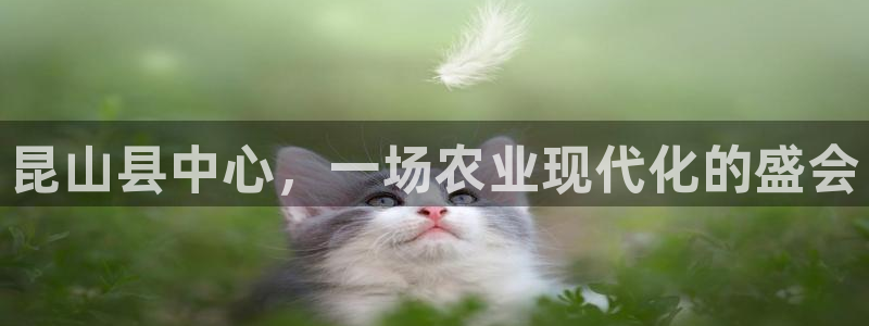 天顺娱乐安匦P675 138