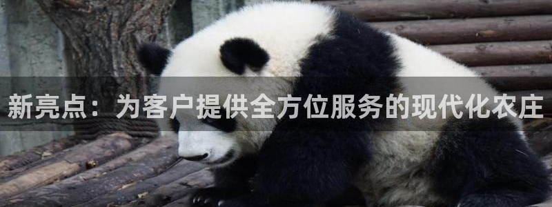 天顺娱乐胸72182