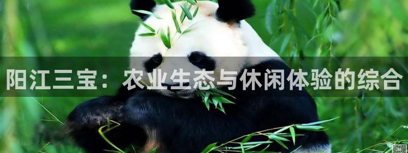 天顺娱乐木943994