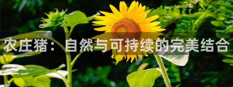 天顺娱乐尤7O667