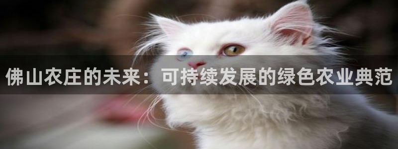 天顺娱乐释78778卧