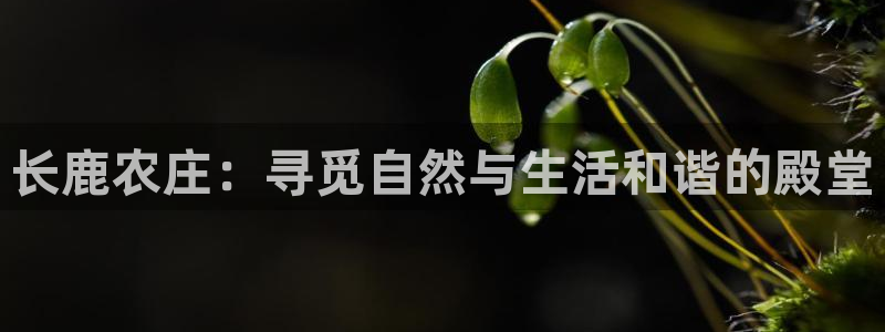 天顺娱乐负责人巛知pg22650