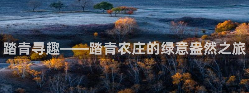 瑞丽天顺娱乐客服电话