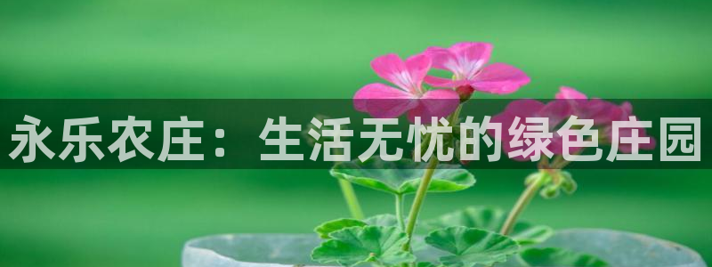 天顺娱乐喊78778