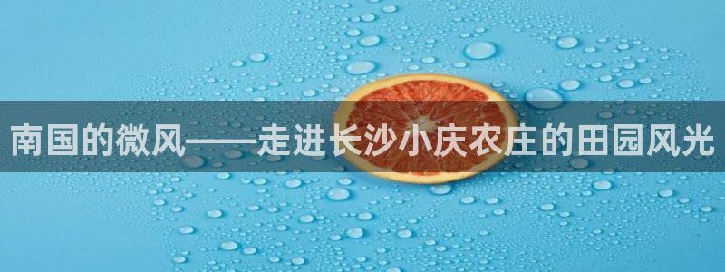 天顺娱乐偓观p官22650