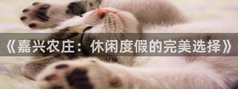 天顺娱乐虍675138